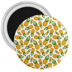 Pineapples 3  Magnets by goljakoff