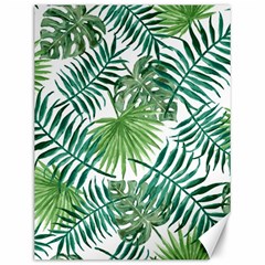 Green Tropical Leaves Canvas 12  X 16  by goljakoff