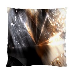 Flash Light Standard Cushion Case (two Sides) by Sparkle