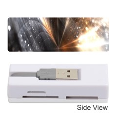 Flash Light Memory Card Reader (stick) by Sparkle