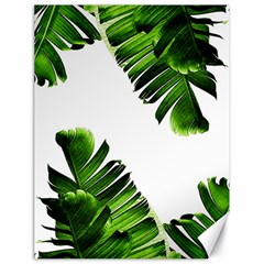 Green Banana Leaves Canvas 18  X 24  by goljakoff