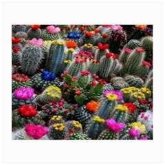 Cactus Small Glasses Cloth (2 Sides) by Sparkle