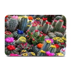 Cactus Plate Mats by Sparkle