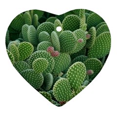 Green Cactus Ornament (heart) by Sparkle