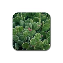 Green Cactus Rubber Square Coaster (4 Pack)  by Sparkle