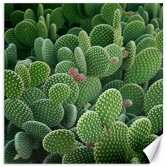 Green Cactus Canvas 12  X 12  by Sparkle