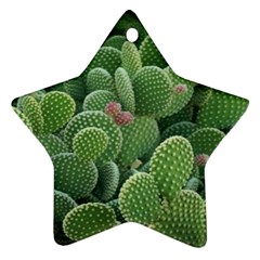 Green Cactus Star Ornament (two Sides) by Sparkle