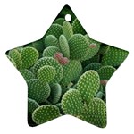 Green Cactus Star Ornament (Two Sides) Back