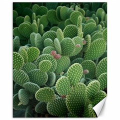 Green Cactus Canvas 16  X 20 