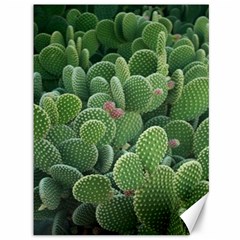 Green Cactus Canvas 36  X 48  by Sparkle