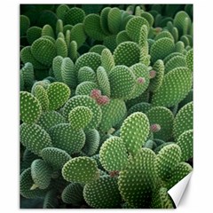 Green Cactus Canvas 20  X 24  by Sparkle