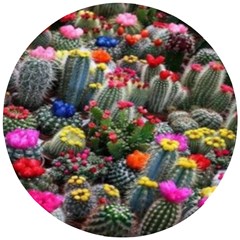 Cactus Wooden Puzzle Round