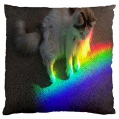 Rainbowcat Large Flano Cushion Case (one Side)