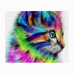 Rainbowcat Small Glasses Cloth