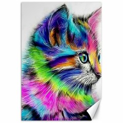 Rainbowcat Canvas 20  X 30  by Sparkle