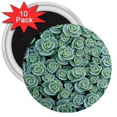 Realflowers 3  Magnets (10 Pack)  by Sparkle