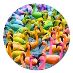 Rainbow Flamingos Magnet 5  (Round)