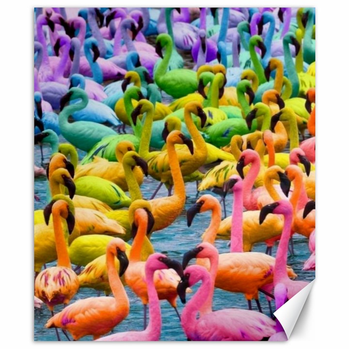 Rainbow Flamingos Canvas 8  x 10 