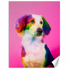 Rainbowdog Canvas 18  X 24  by Sparkle