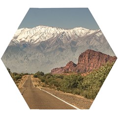 Empty Highway Landscape, La Rioja, Argentina Wooden Puzzle Hexagon by dflcprintsclothing