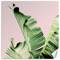 Palm Leaf Canvas 20  X 20  by goljakoff