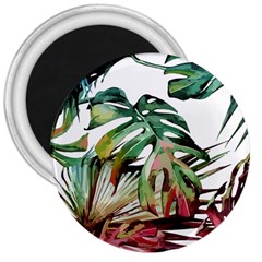 Watercolor Monstera Leaves 3  Magnets by goljakoff