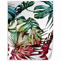 Watercolor Monstera Leaves Canvas 12  X 16  by goljakoff