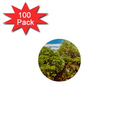 Carob Tree, Talampaya National Park, La Rioja, Argentina 1  Mini Magnets (100 Pack)  by dflcprintsclothing