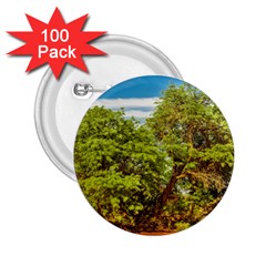 Carob Tree, Talampaya National Park, La Rioja, Argentina 2 25  Buttons (100 Pack) 