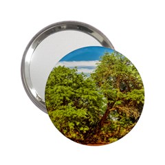 Carob Tree, Talampaya National Park, La Rioja, Argentina 2 25  Handbag Mirrors by dflcprintsclothing