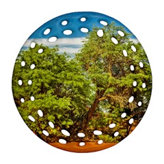 Carob Tree, Talampaya National Park, La Rioja, Argentina Round Filigree Ornament (two Sides) by dflcprintsclothing