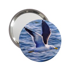 Seagull Flying Over Sea, Montevideo, Uruguay 2 25  Handbag Mirrors by dflcprintsclothing