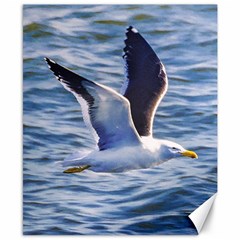 Seagull Flying Over Sea, Montevideo, Uruguay Canvas 8  X 10  by dflcprintsclothing