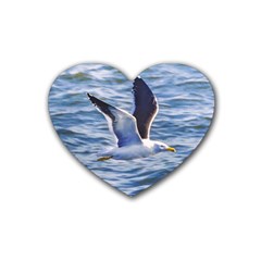 Seagull Flying Over Sea, Montevideo, Uruguay Heart Coaster (4 Pack)  by dflcprintsclothing