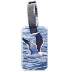 Seagull Flying Over Sea, Montevideo, Uruguay Luggage Tag (two Sides) by dflcprintsclothing