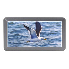 Seagull Flying Over Sea, Montevideo, Uruguay Memory Card Reader (mini) by dflcprintsclothing