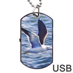 Seagull Flying Over Sea, Montevideo, Uruguay Dog Tag Usb Flash (two Sides) by dflcprintsclothing