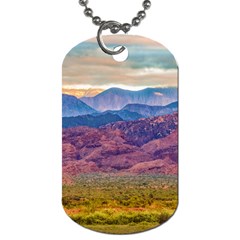 Arid Andean Landscape, La Rioja, Argentina010 Dog Tag (one Side) by dflcprintsclothing