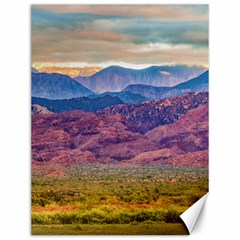 Arid Andean Landscape, La Rioja, Argentina010 Canvas 12  X 16  by dflcprintsclothing