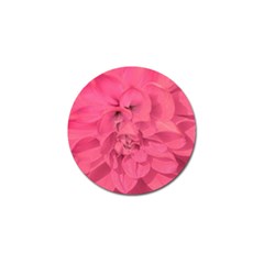 Beauty Pink Rose Detail Photo Golf Ball Marker (4 Pack)