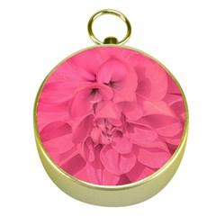 Beauty Pink Rose Detail Photo Gold Compasses by dflcprintsclothing