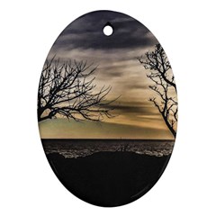 Coastal Sunset Scene At Montevideo City, Uruguay Oval Ornament (Two Sides)