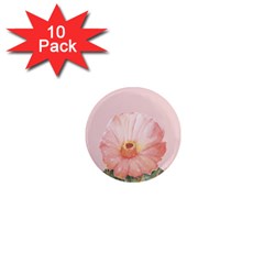 Rose cactus 1  Mini Magnet (10 pack) 