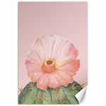 Rose cactus Canvas 20  x 30  19.62 x28.9  Canvas - 1