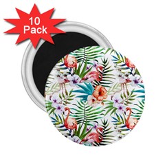Tropical Flamingos 2 25  Magnets (10 Pack)  by goljakoff