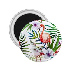 Tropical Flamingo 2 25  Magnets by goljakoff