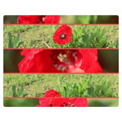 Photos Collage Coquelicots Double Sided Flano Blanket (medium)  by kcreatif