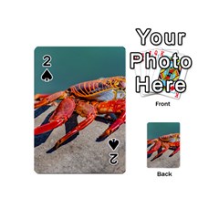 Colored Crab, Galapagos Island, Ecuador Playing Cards 54 Designs (mini) by dflcprintsclothing