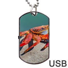 Colored Crab, Galapagos Island, Ecuador Dog Tag Usb Flash (one Side) by dflcprintsclothing