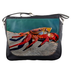 Colored Crab, Galapagos Island, Ecuador Messenger Bag by dflcprintsclothing